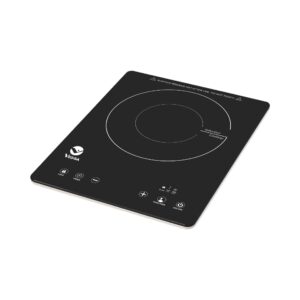 Plantilla de Inducción 1 disco